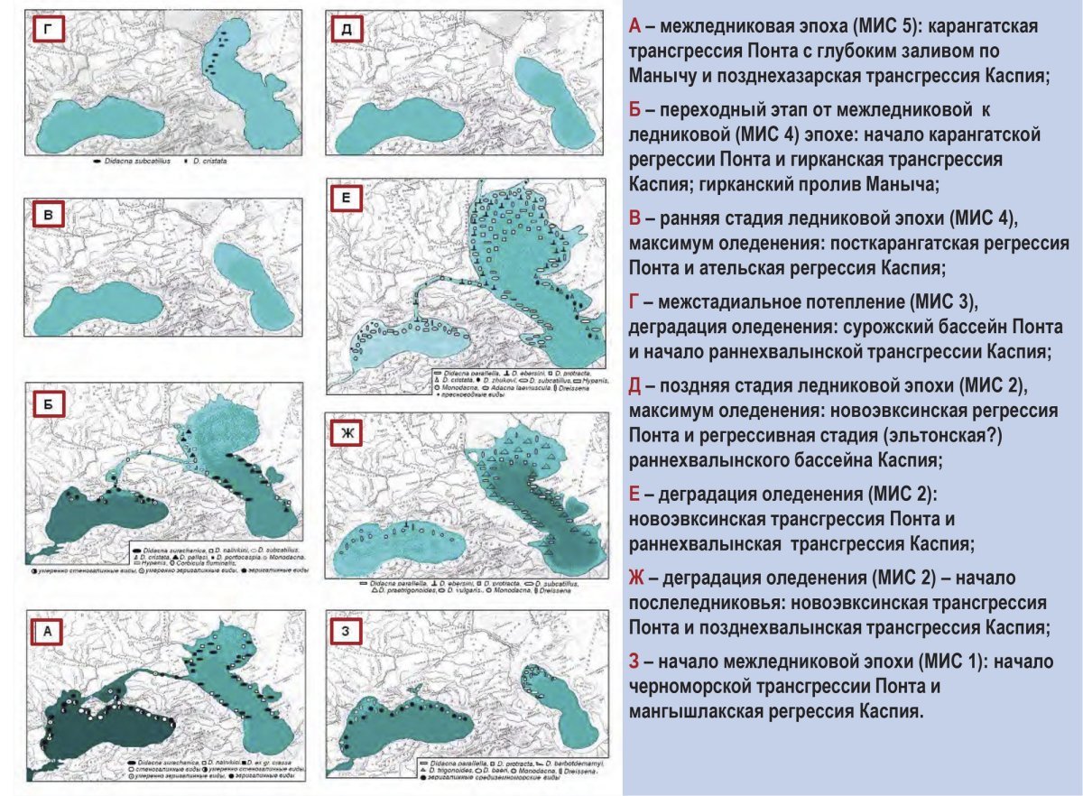 Трансгрессия Каспийского моря