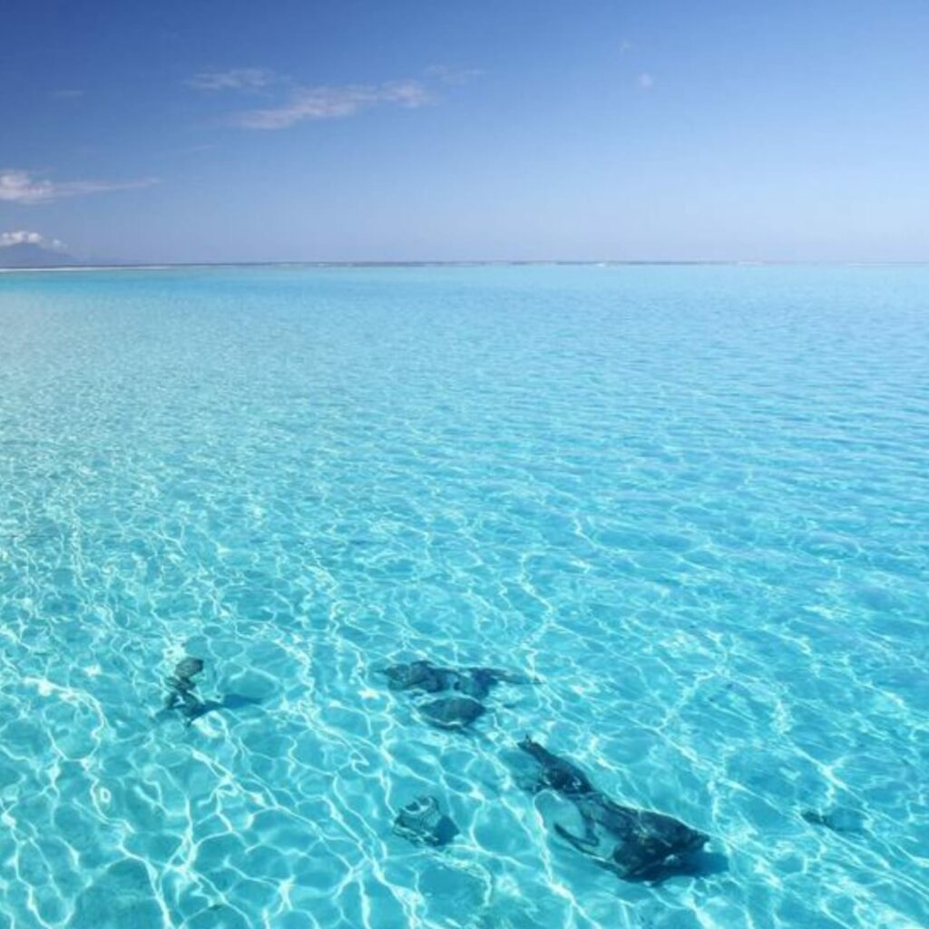 Прозрачная вода море