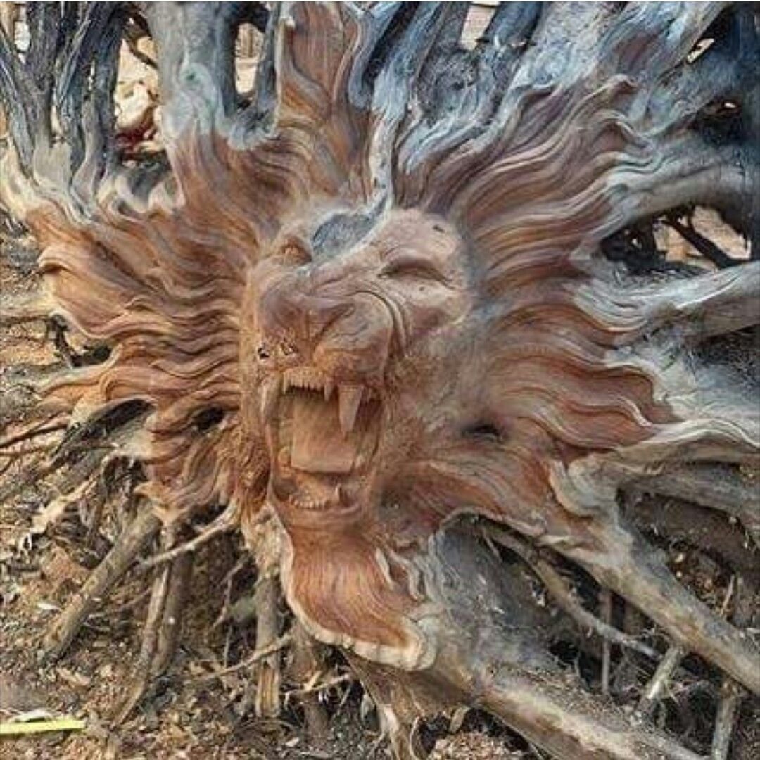 Скульптуры из корней деревьев