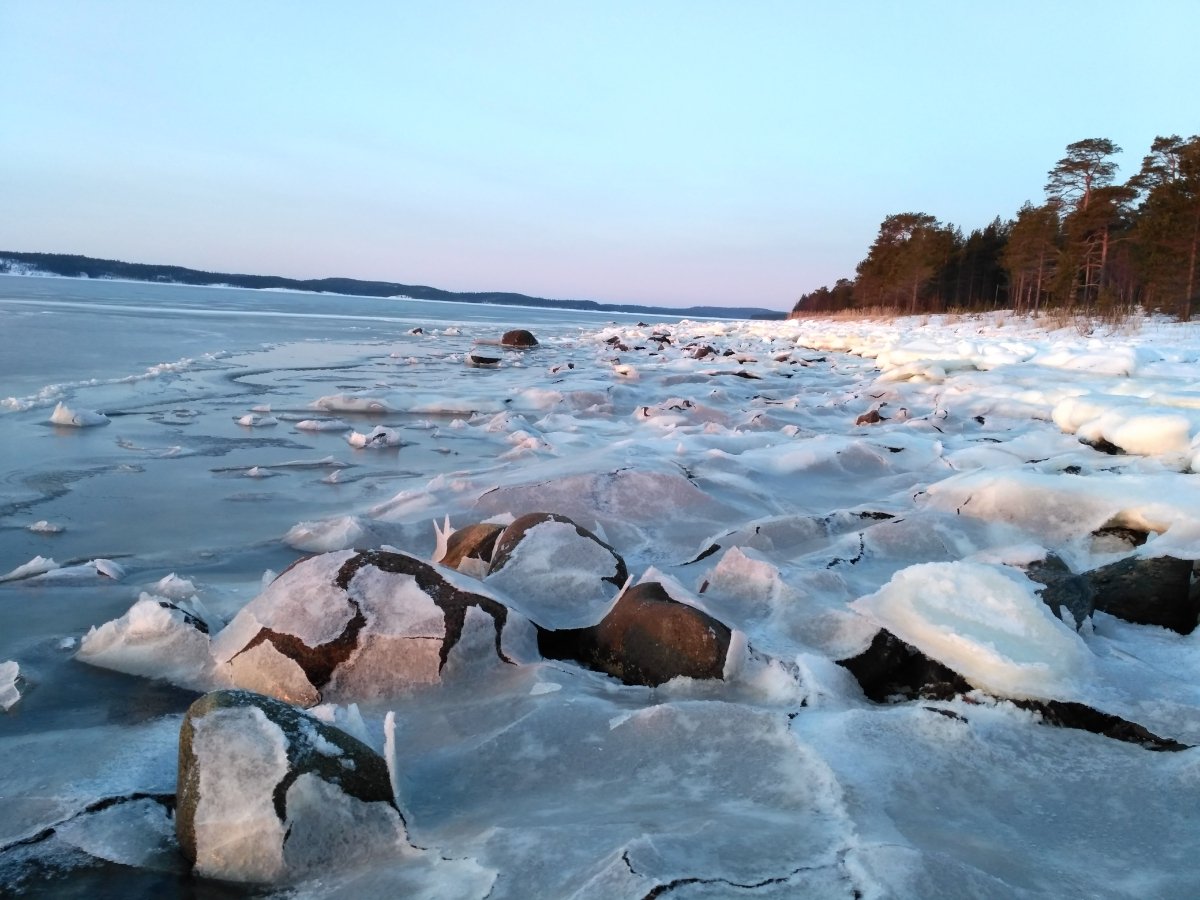 Остров Кишкин белое море