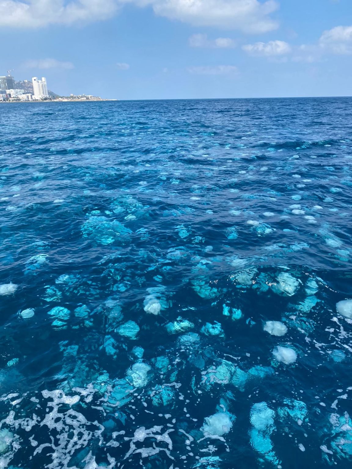 Цвет Средиземного моря