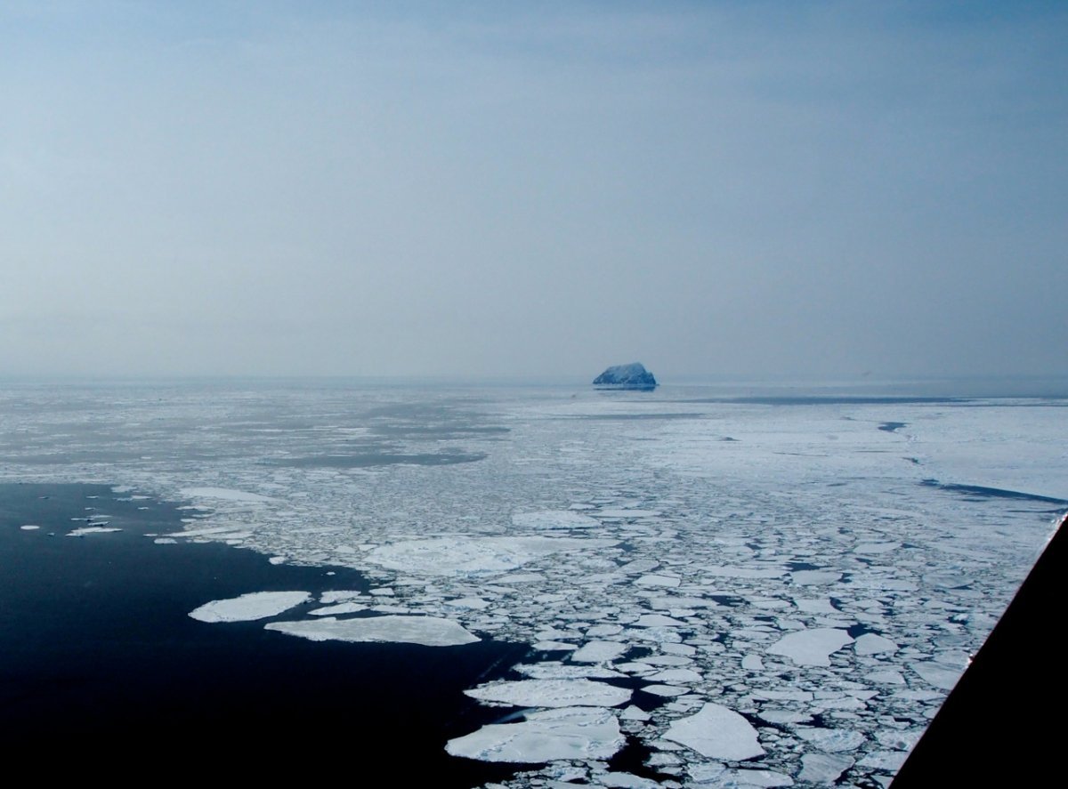 Айсберг в Беринговом море
