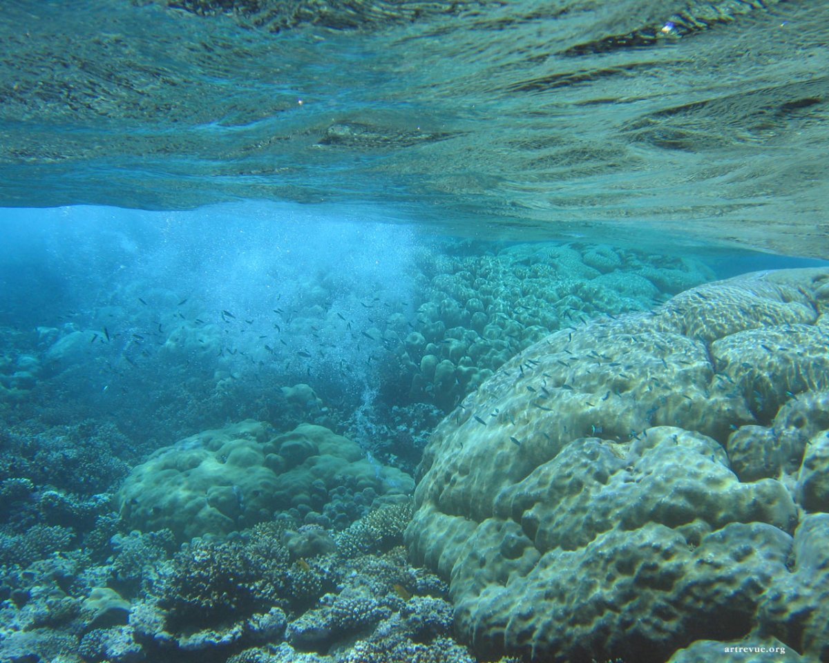 Красное море
