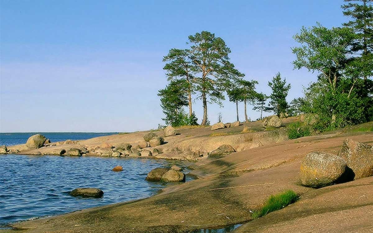 Финский залив Сосновый Бор
