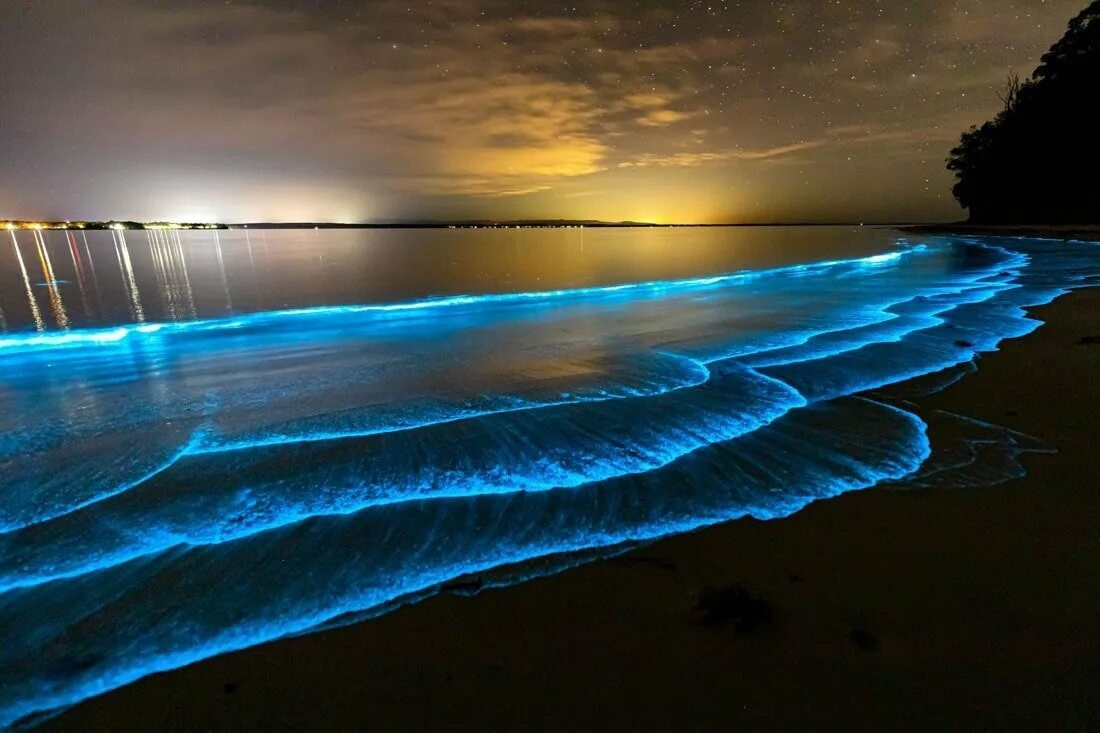 Неоновое море
