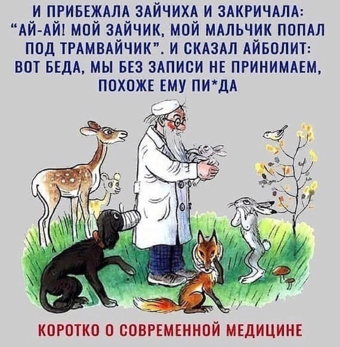 Шутка про доктора Айболита
