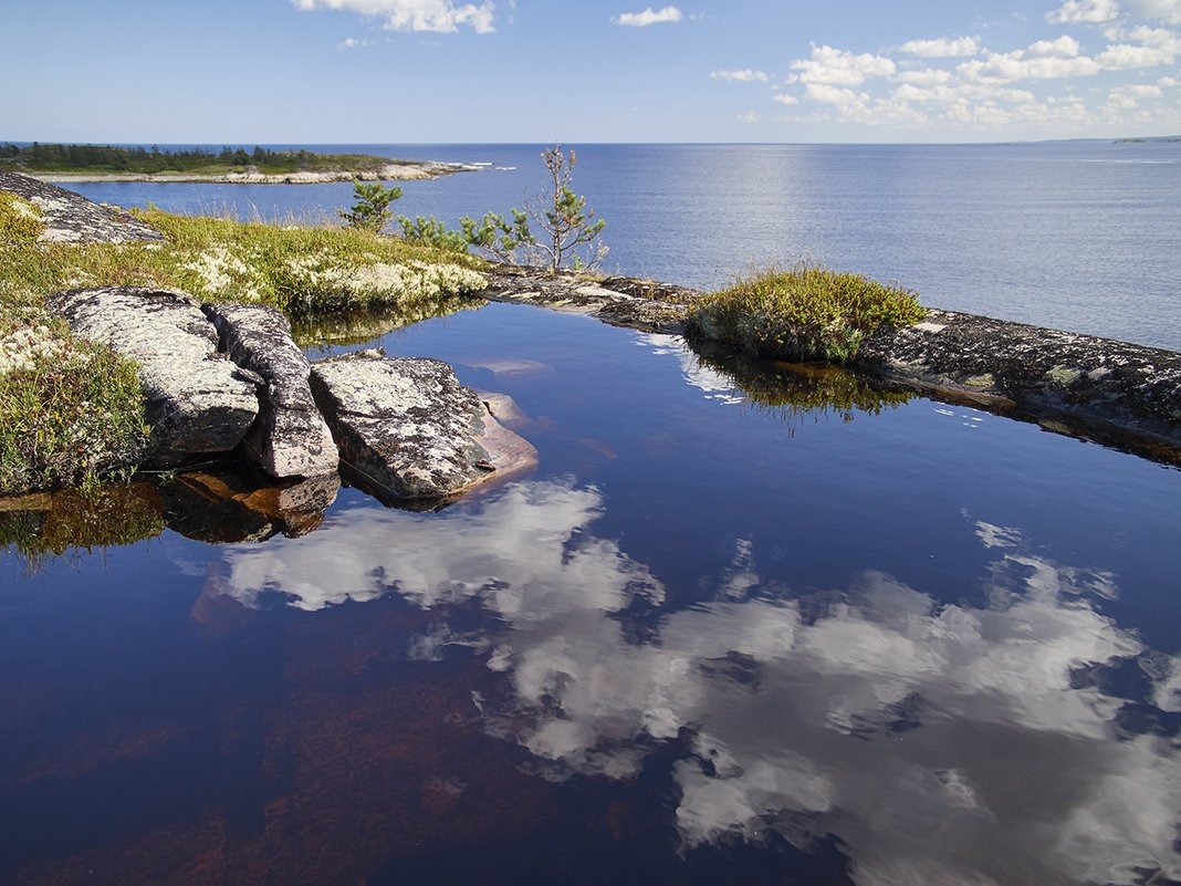 Берег белого моря Карелия