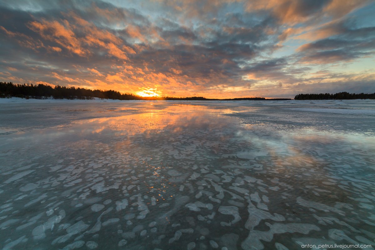 Белое море