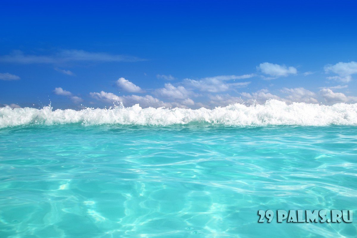 In the Blue Sea White Foam