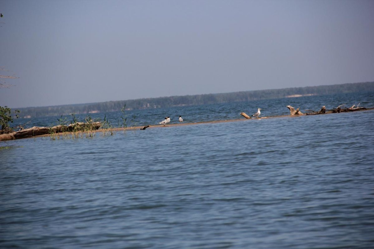 Остров тайвань обское море