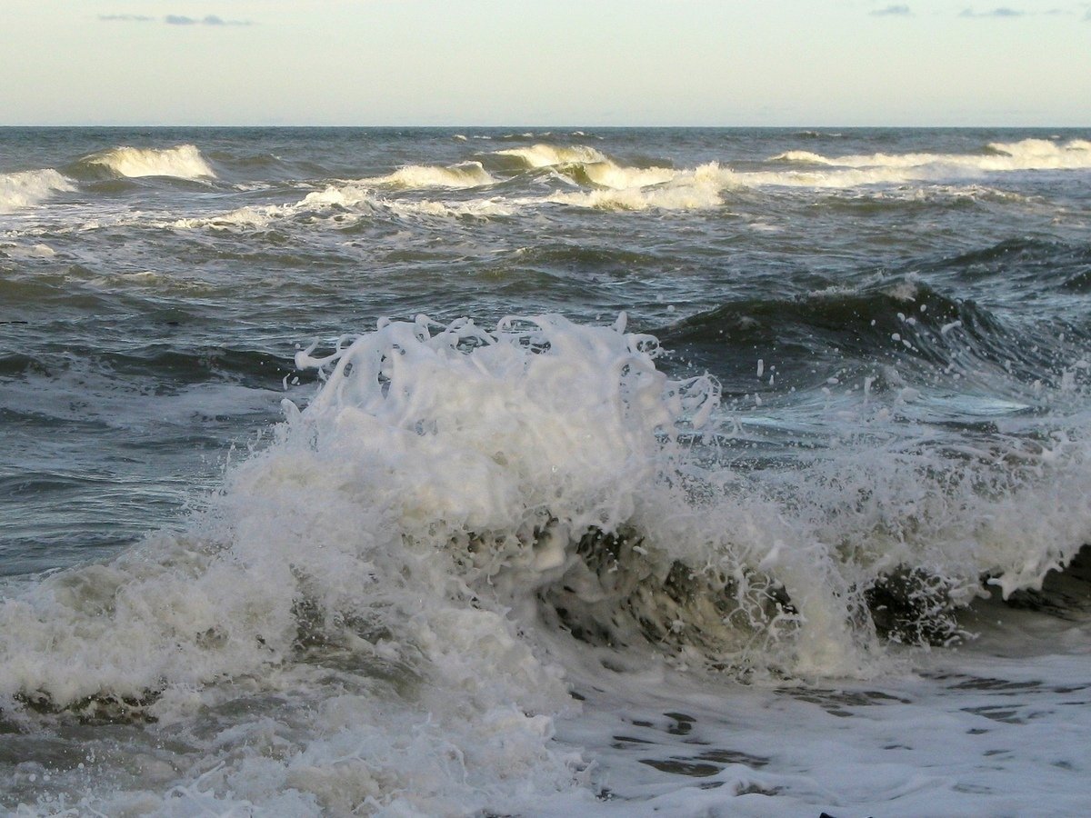Комарово Балтийское море
