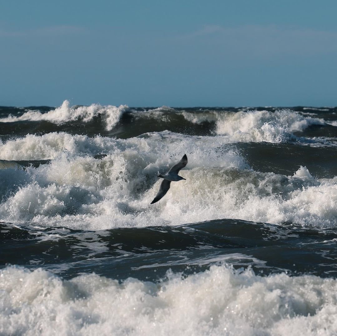 Волна на балтийском море