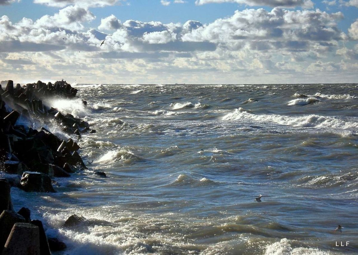 Шторм Балтийское море Калининград