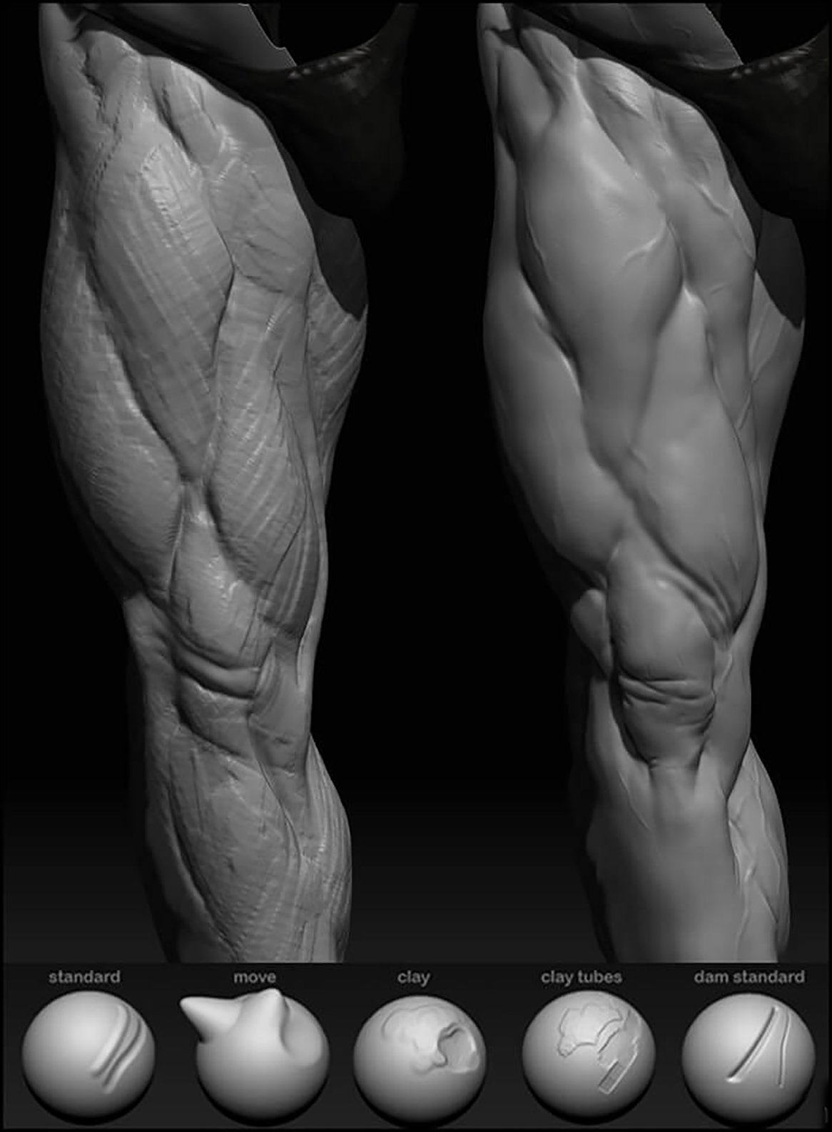 Нога референс Zbrush