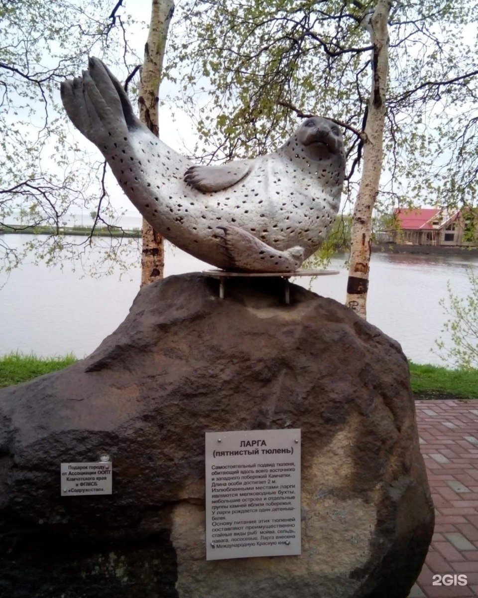 Памятник нерпам Петропавловске-Камчатском