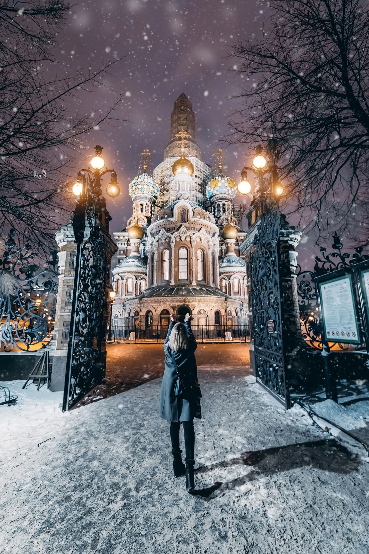 Зимний Питер Андрей Михайлов