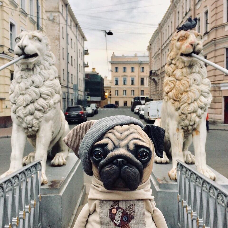 Животные Санкт-Петербург