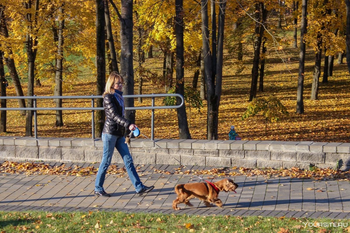 Прогулка с собакой в парке