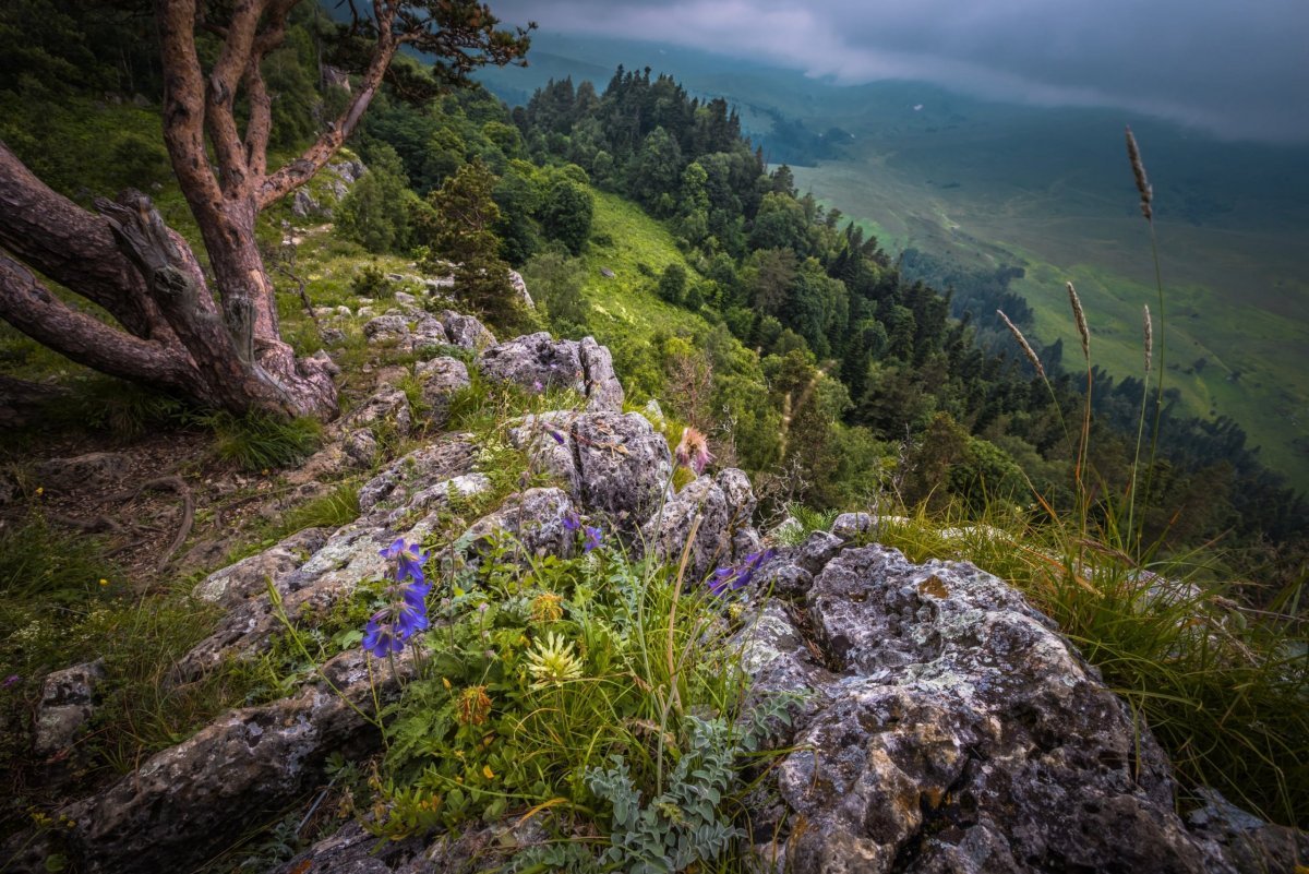Плато Лагонаки заповедник