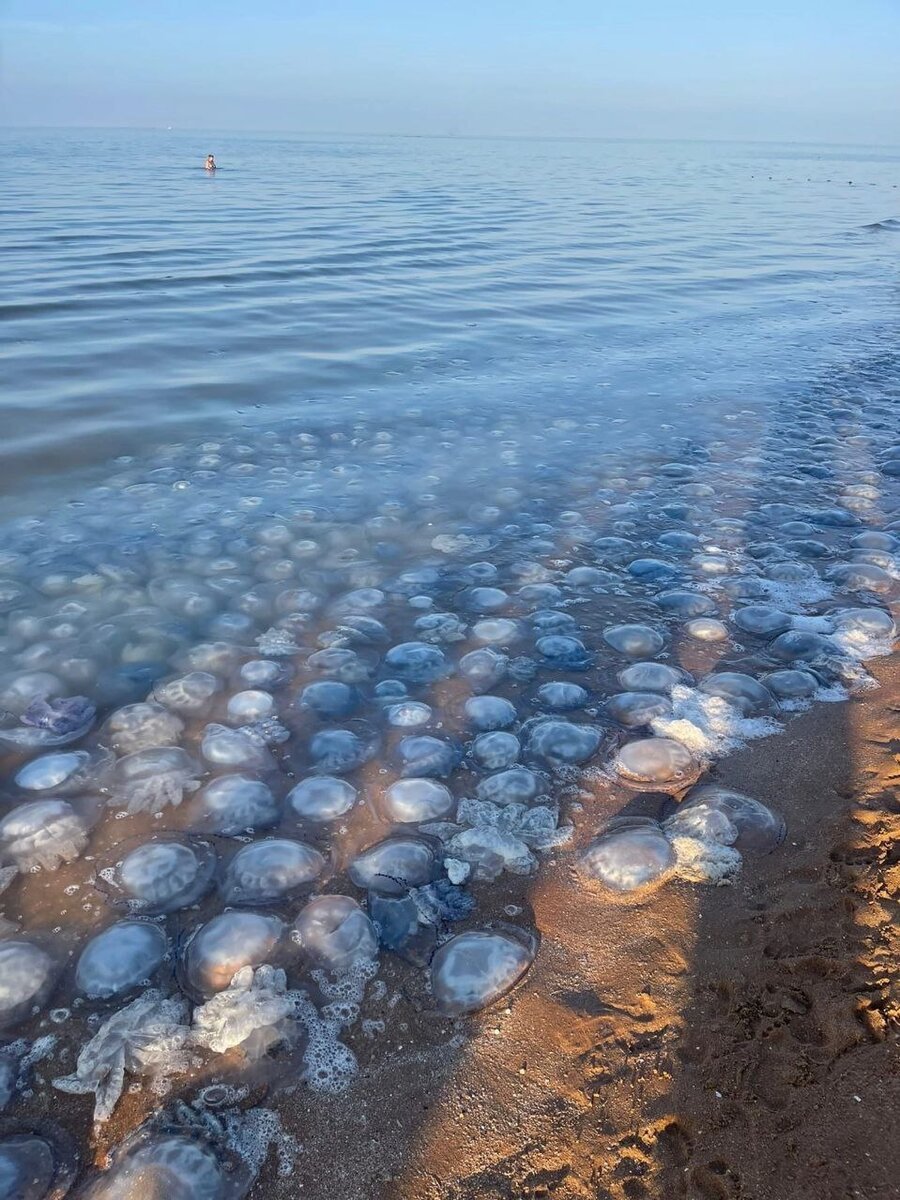 Азовское море самое маленькое