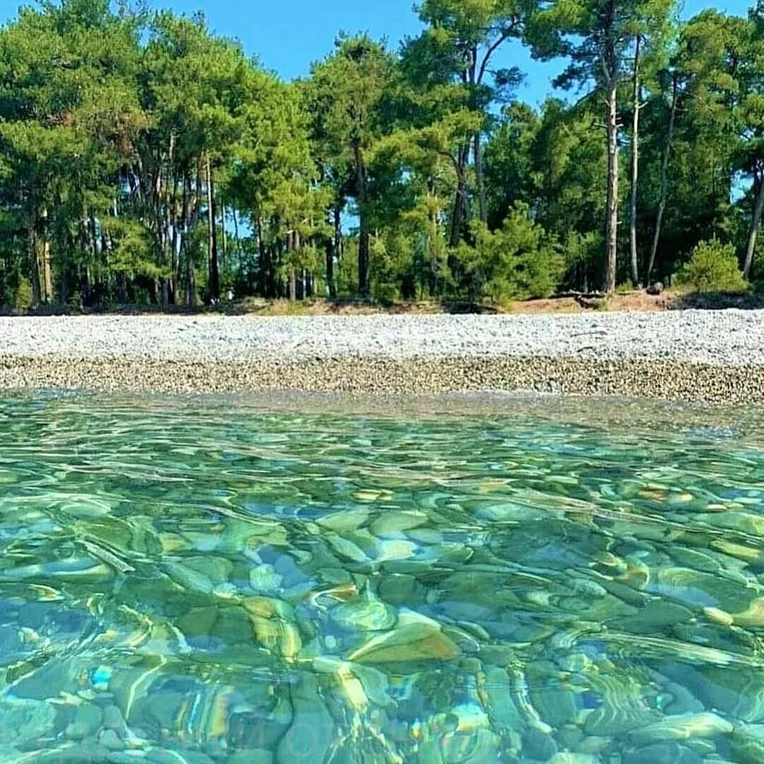 Море Абхазия Пицунда