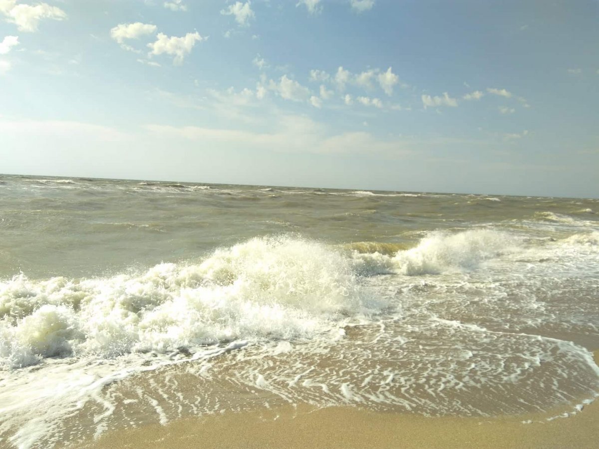Вучичевич Азовское море