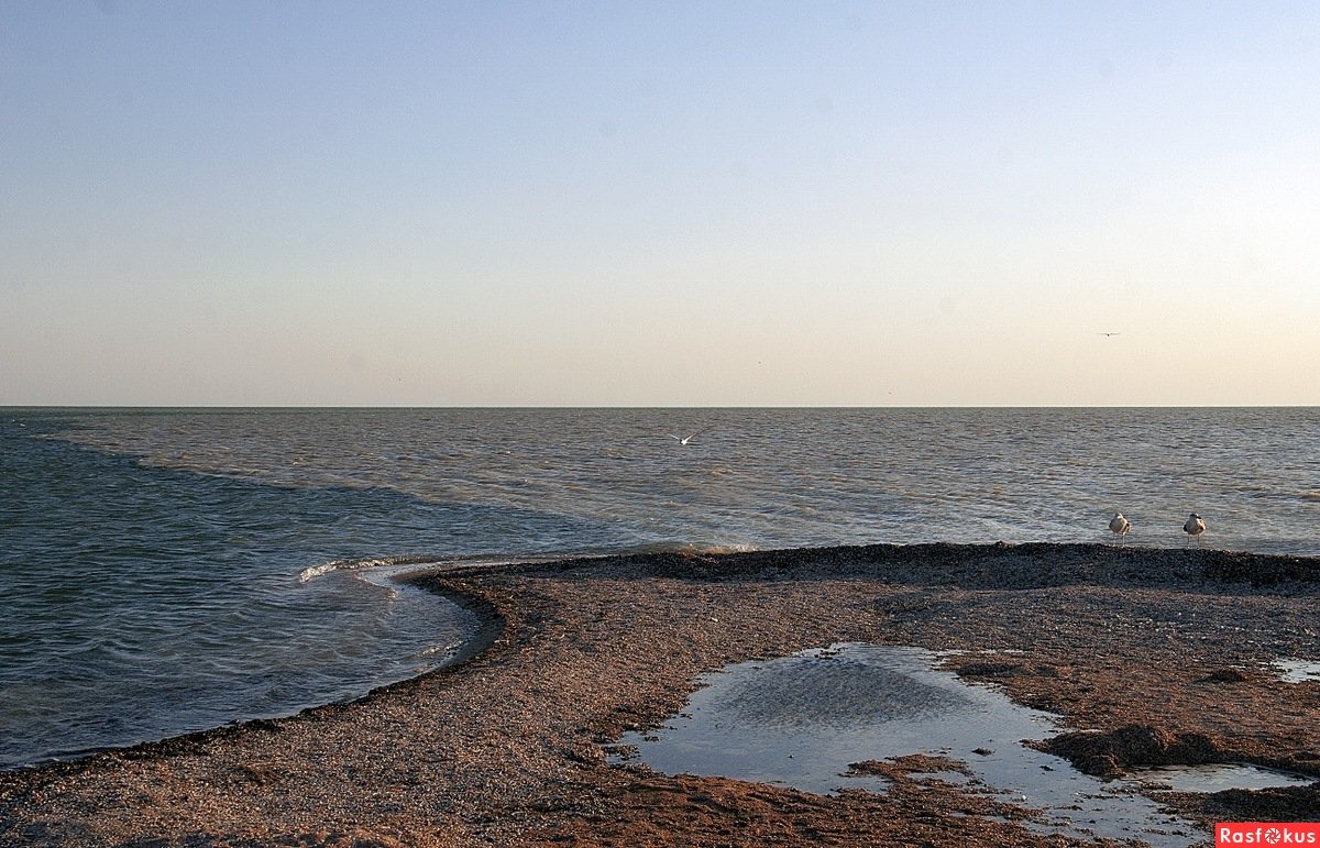 Таганрог залив Азовского моря