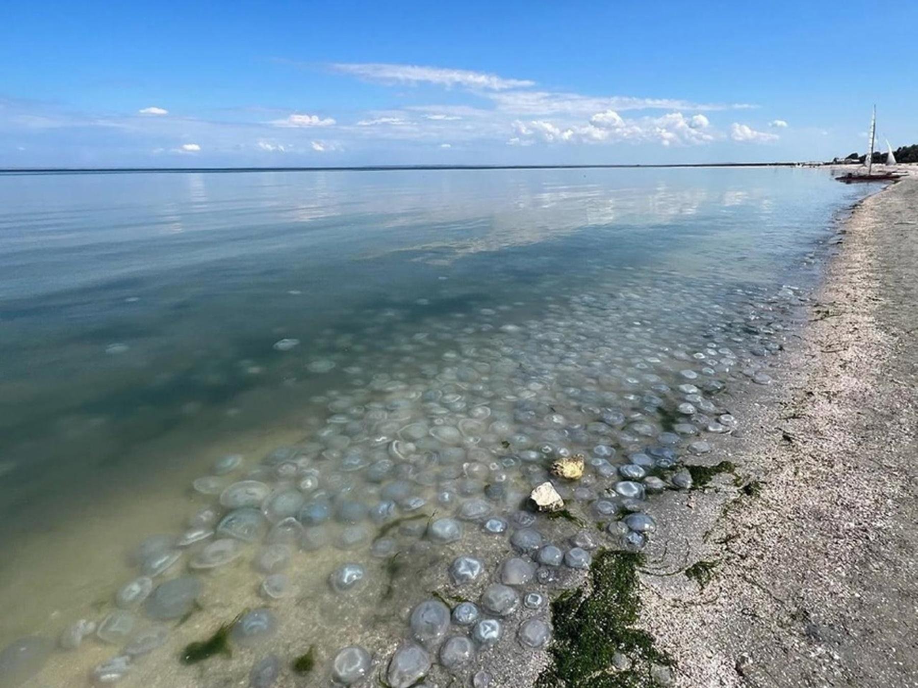 Покажи картинки азовского моря