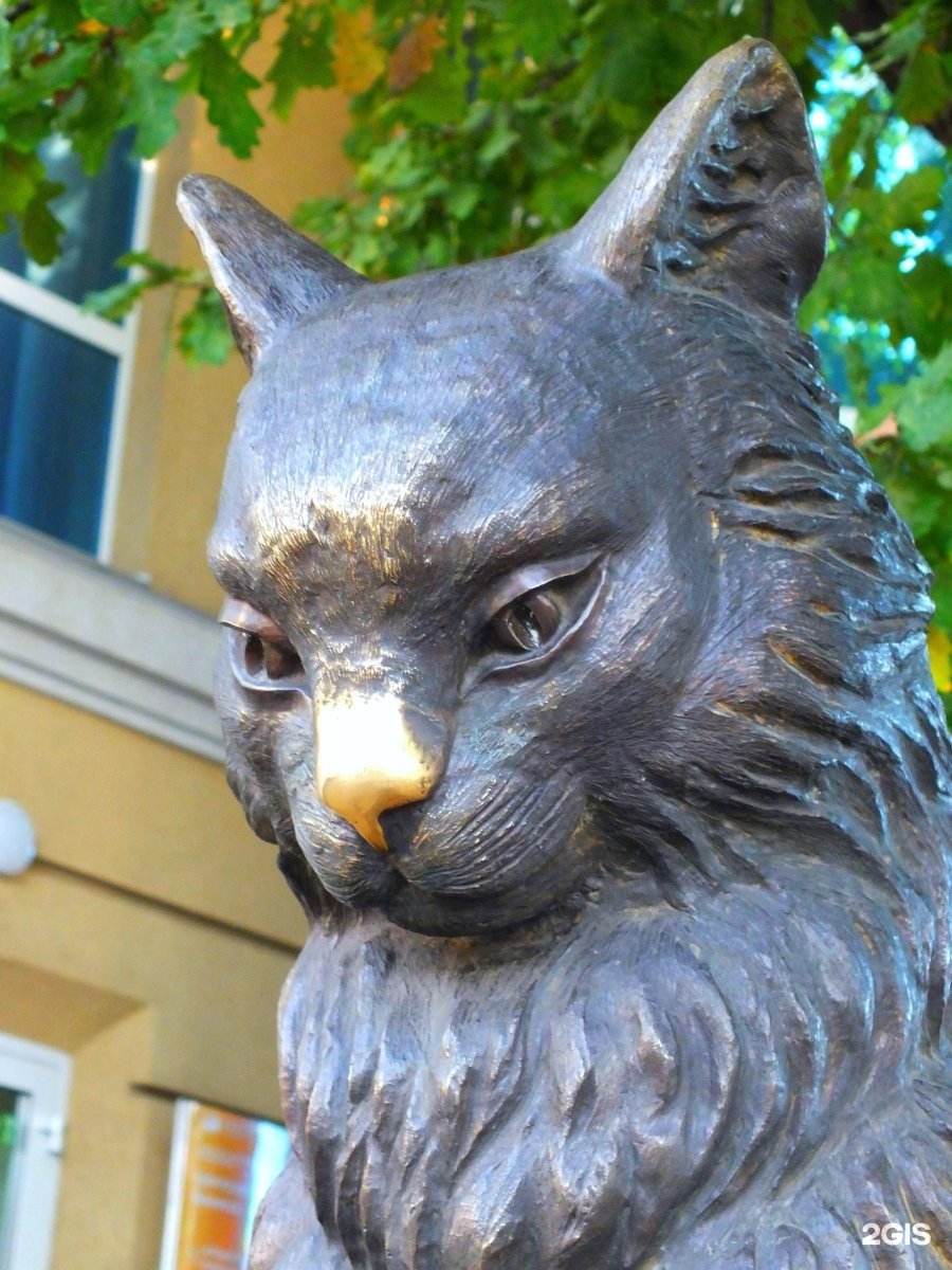 Кот ученый Оренбург