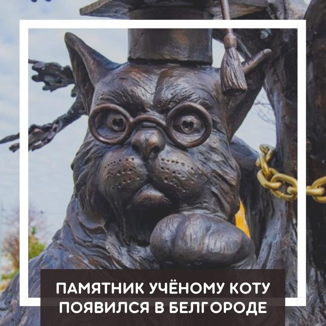 Скульптура ученого кота в Белгороде