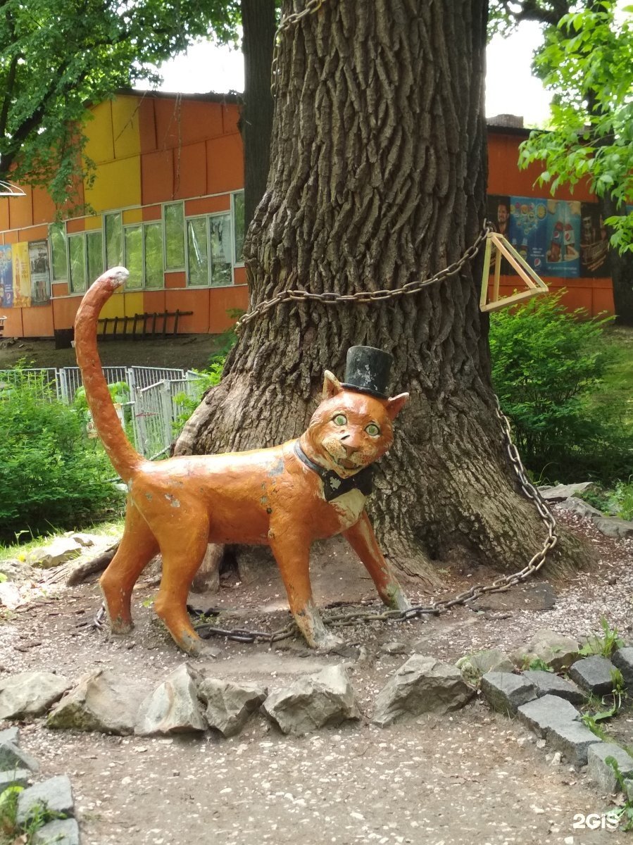 Нижний парк кот ученый Липецк