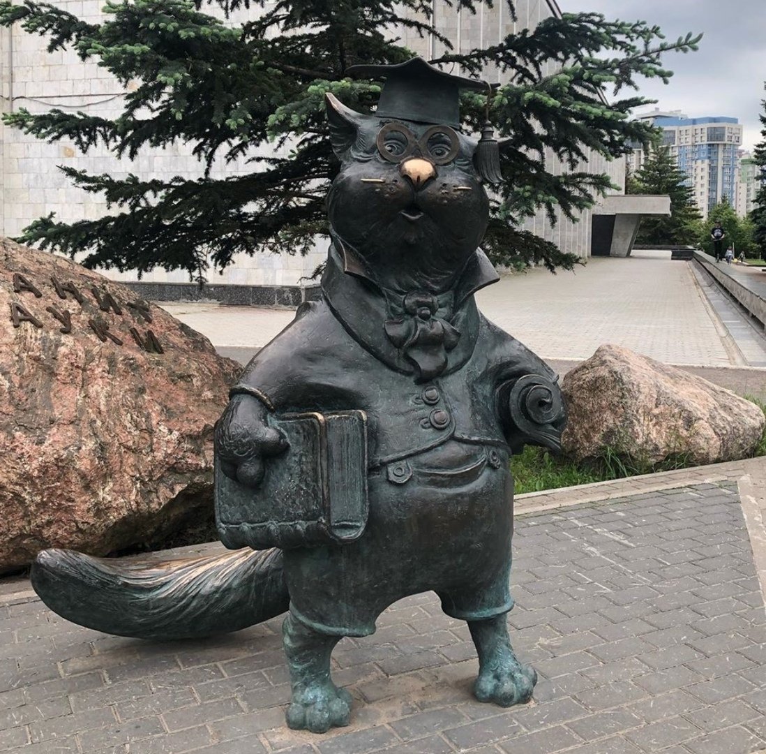 Кот учёный Обнинск