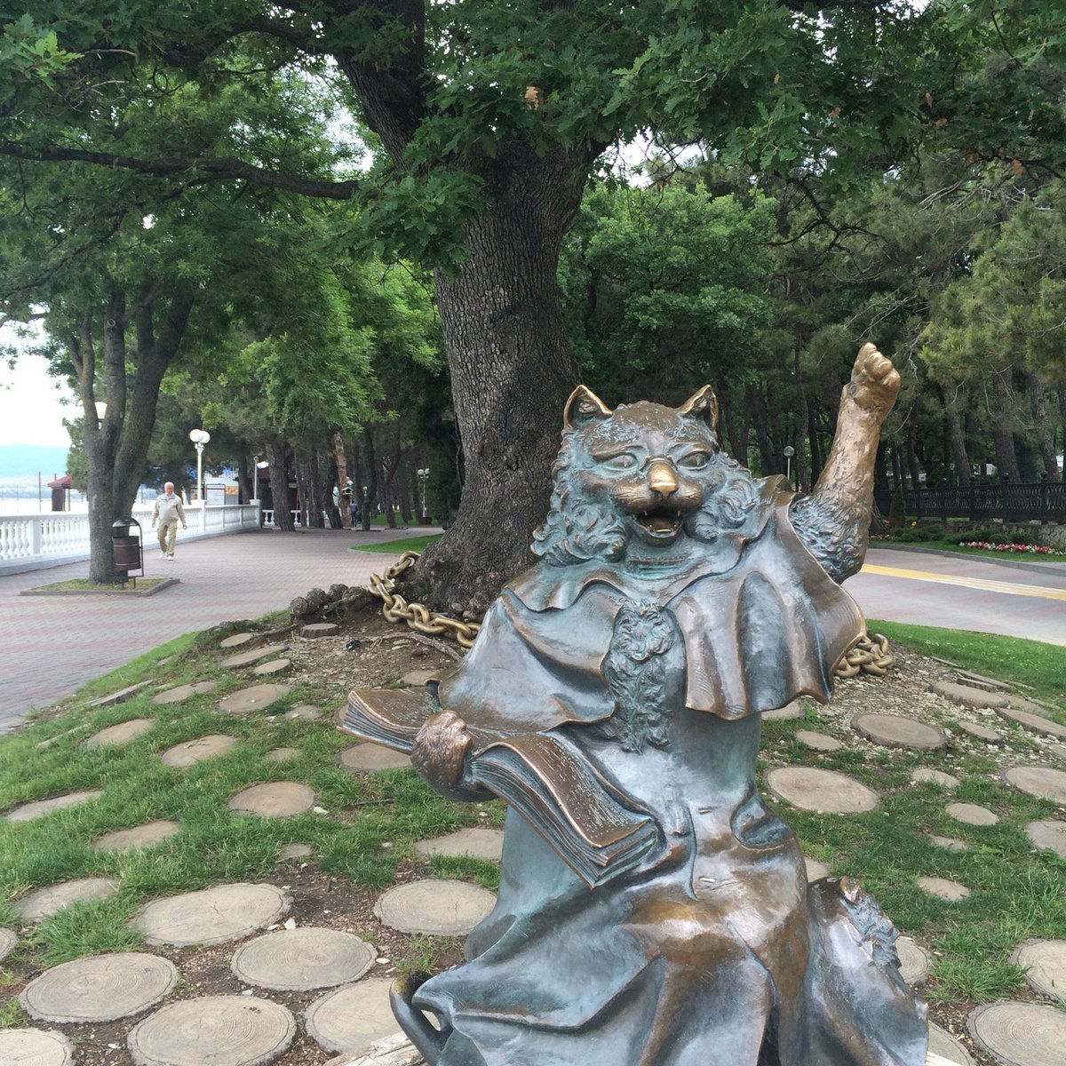 Кот ученый Геленджик