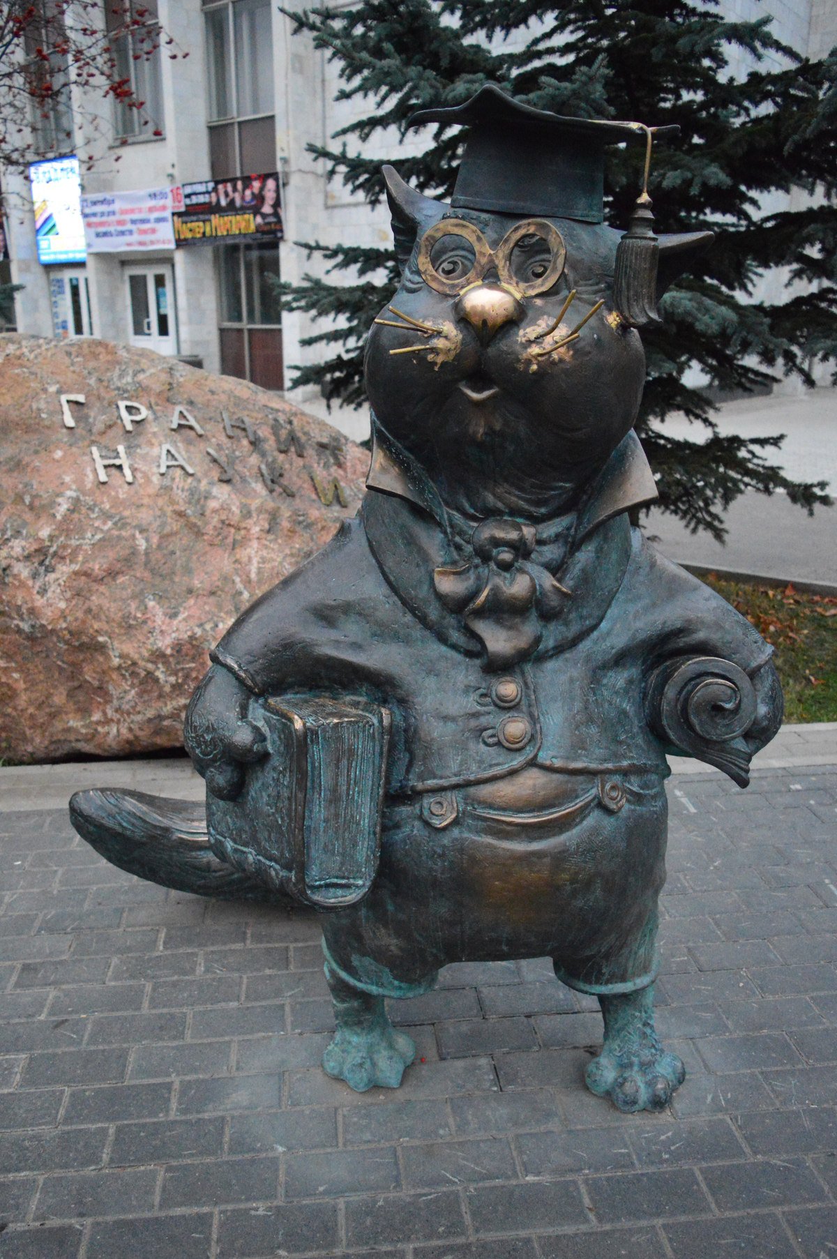 Кот учёный Обнинск