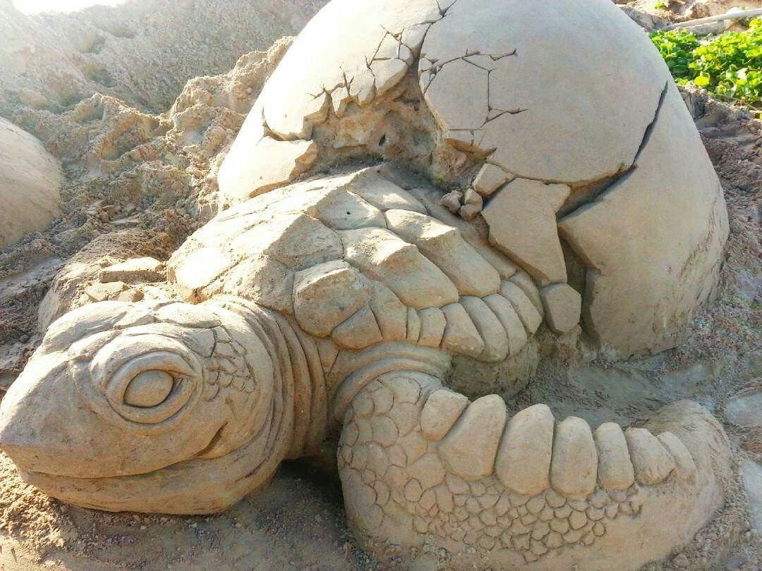Скульптура из песка черепаха