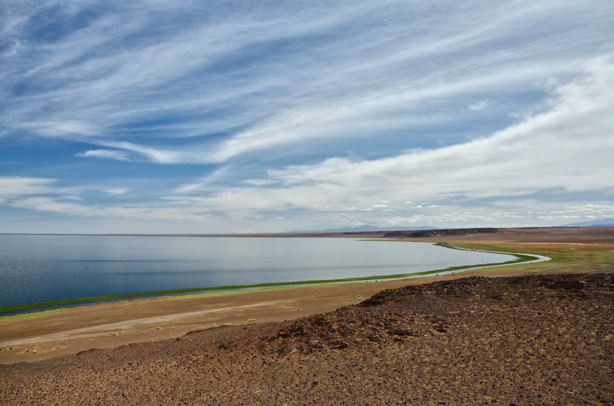 Кулундинское озеро море в степи