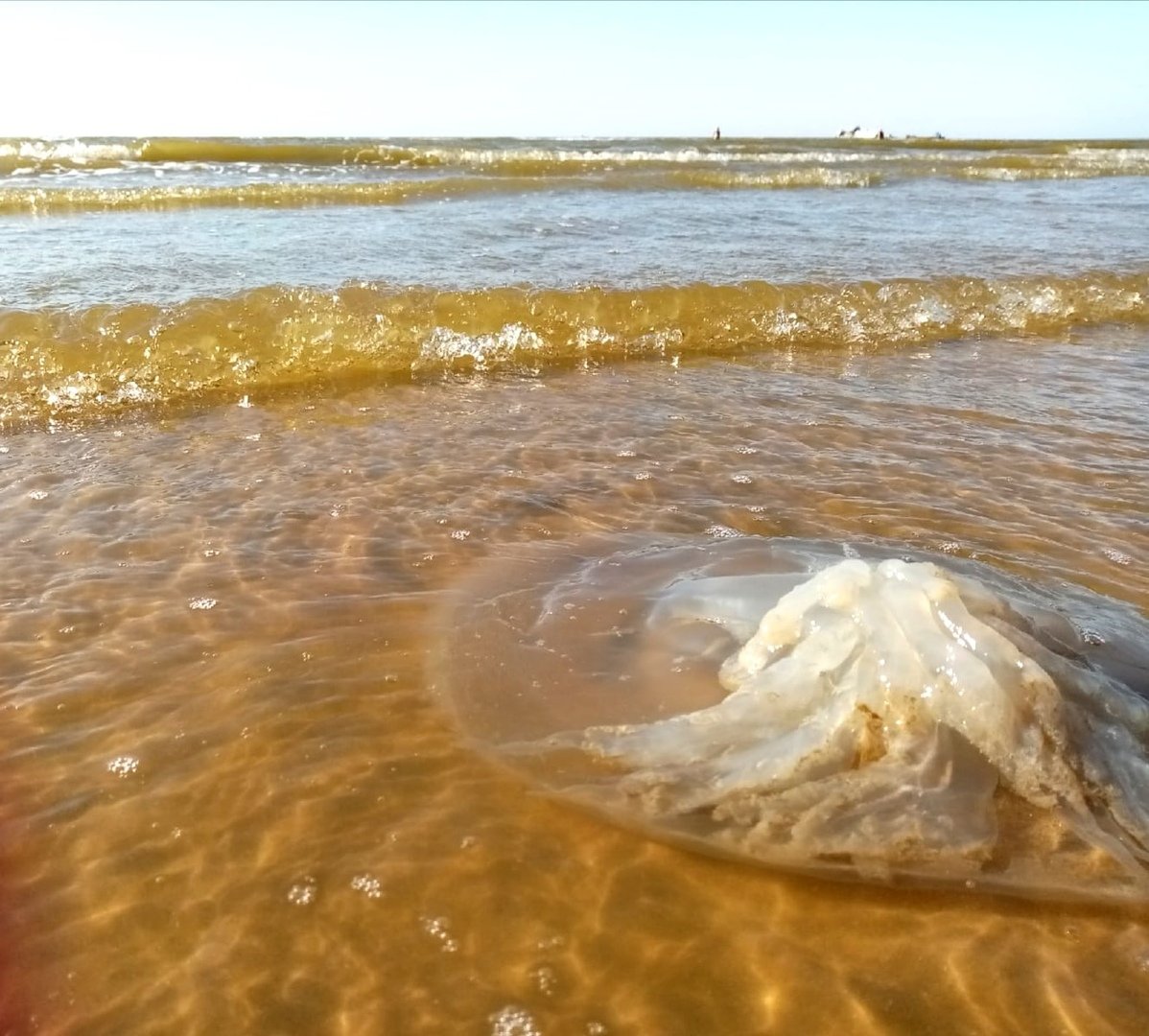 Ейск море