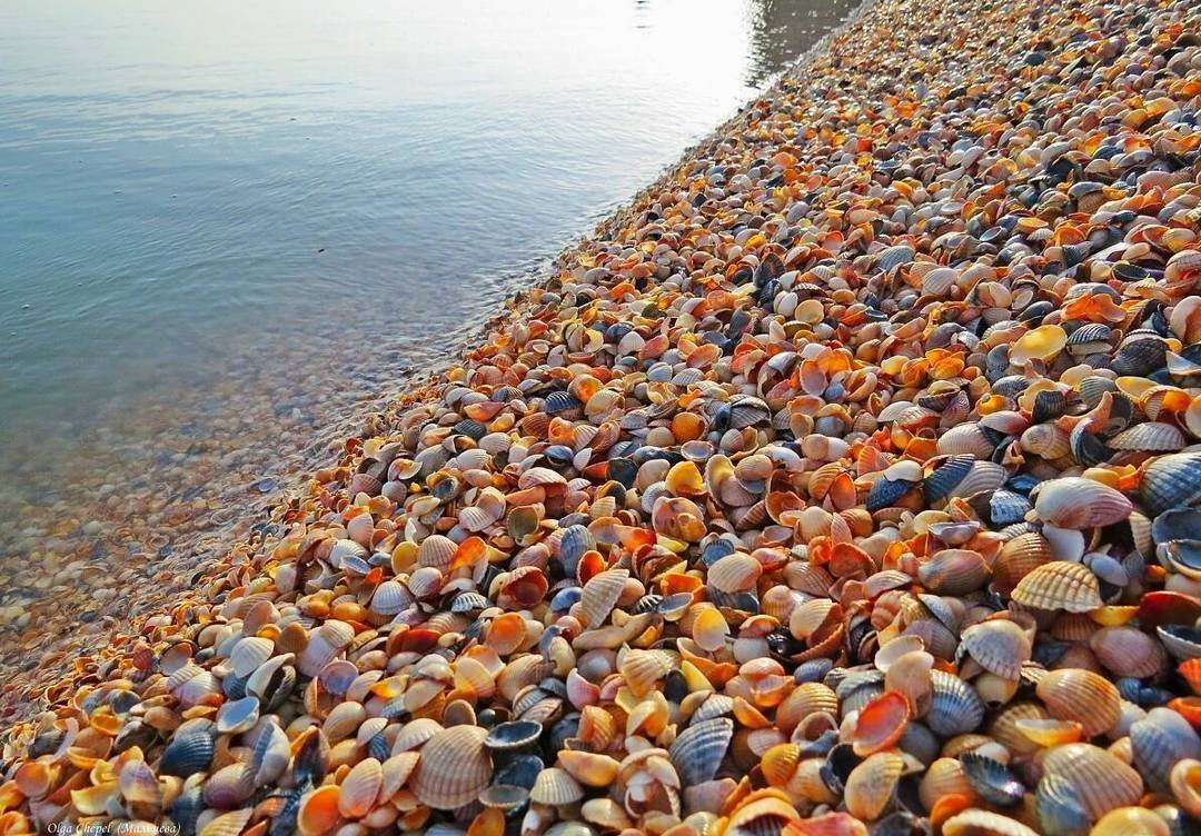 Должанская коса Азовское море ракушечный берег