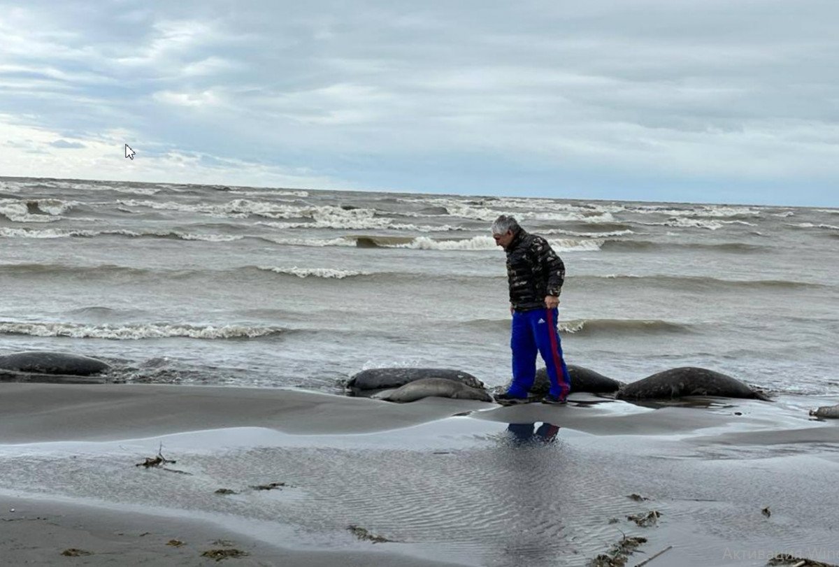 Впадина в каспийском море