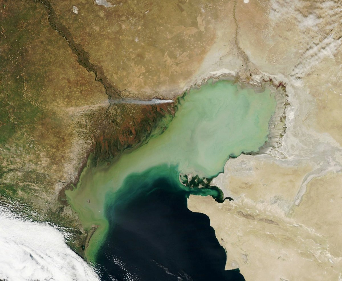 Каспийское море вид сверху