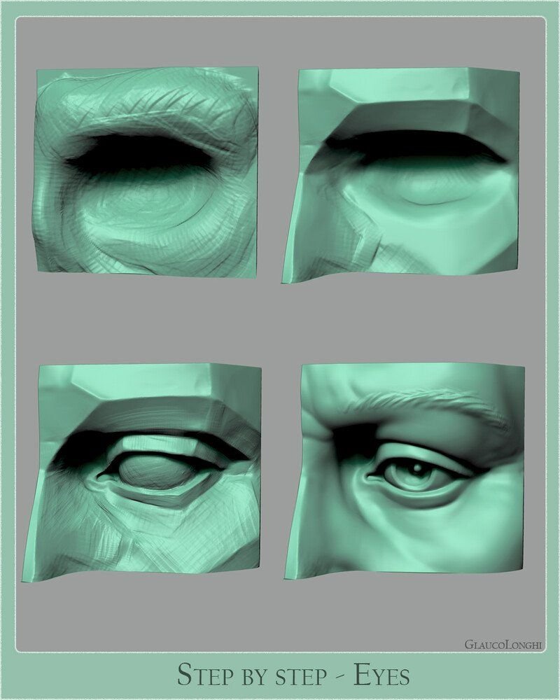 Glauco Longhi Anatomy