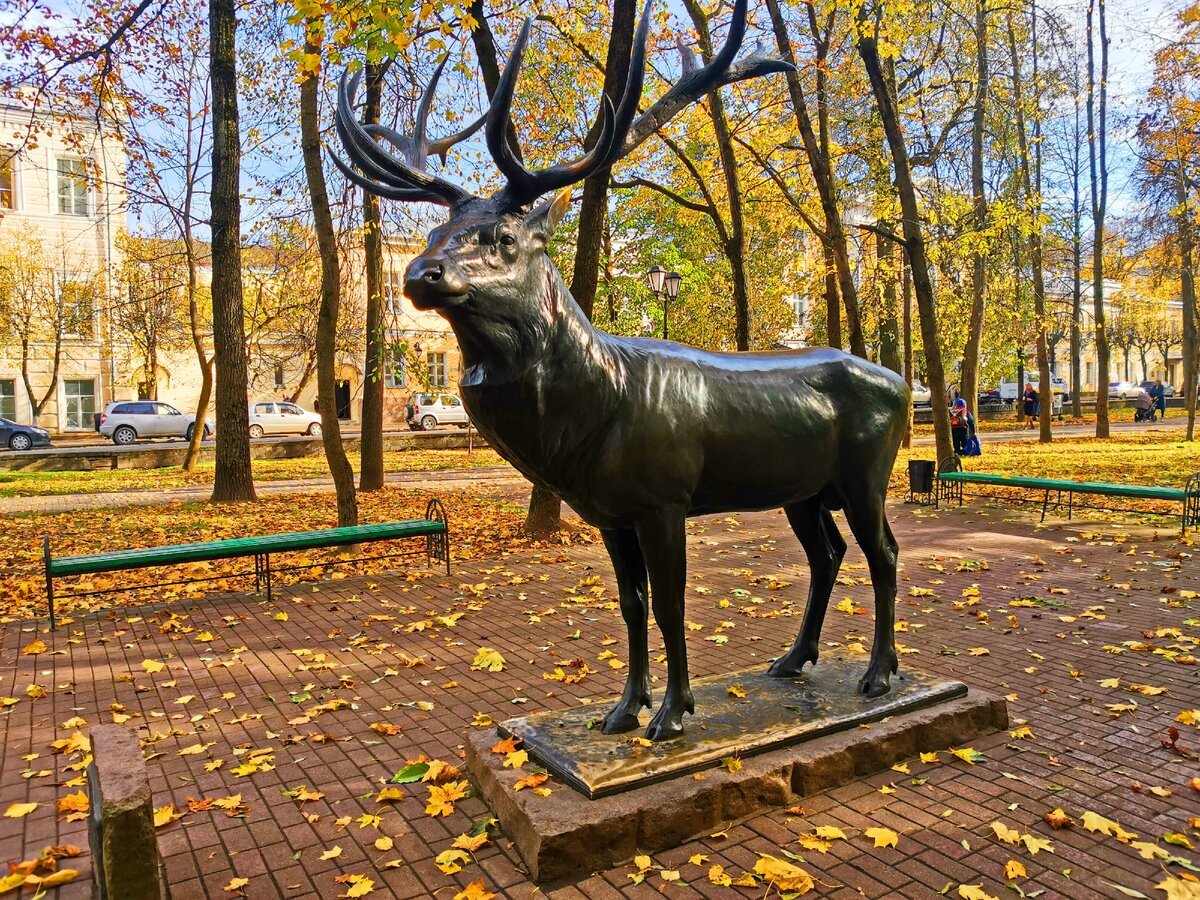 Смоленск парк Блонье