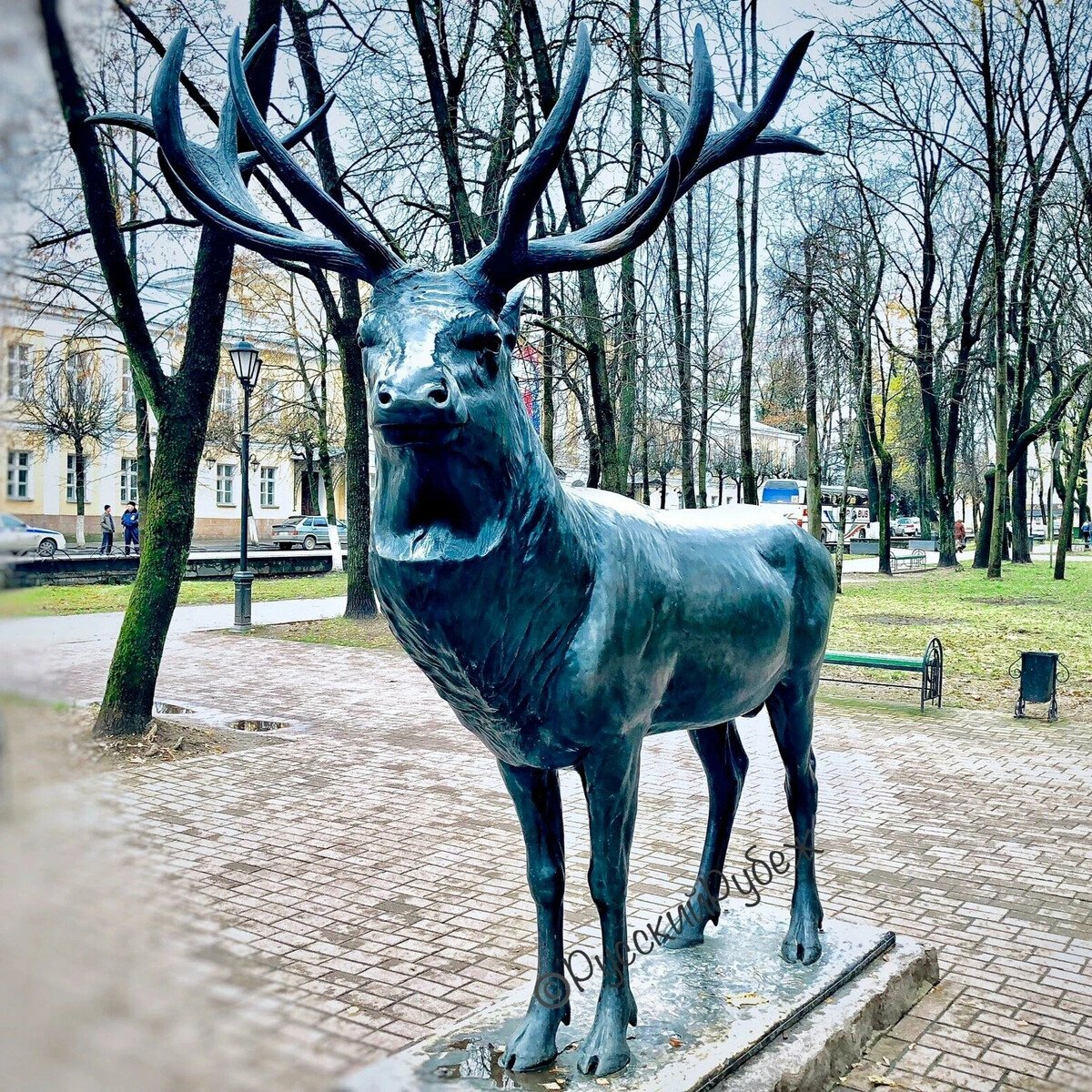 Смоленск парк Блонье олень