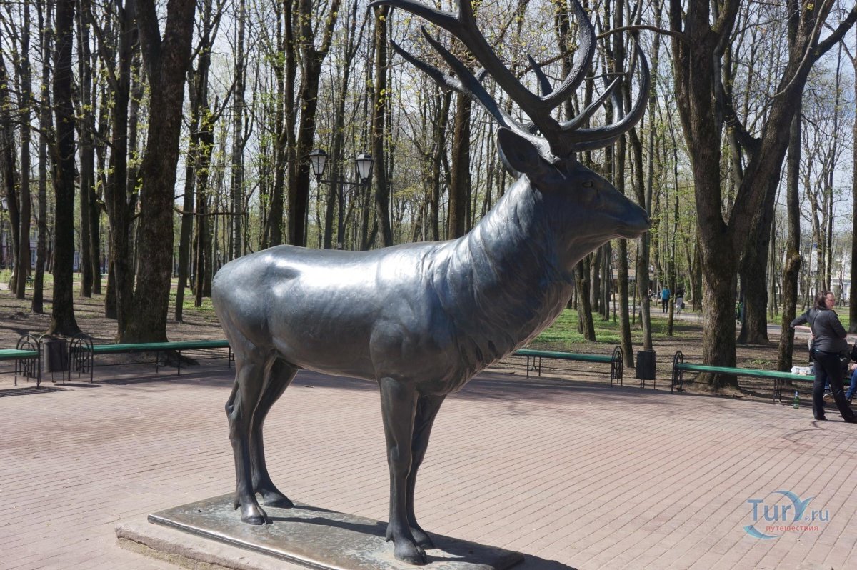 Статуя оленя в Смоленске