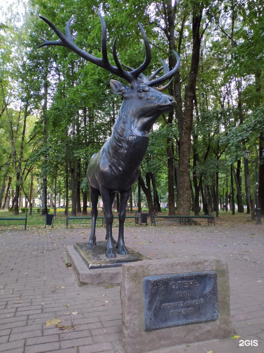 Смоленск парк Блонье олень