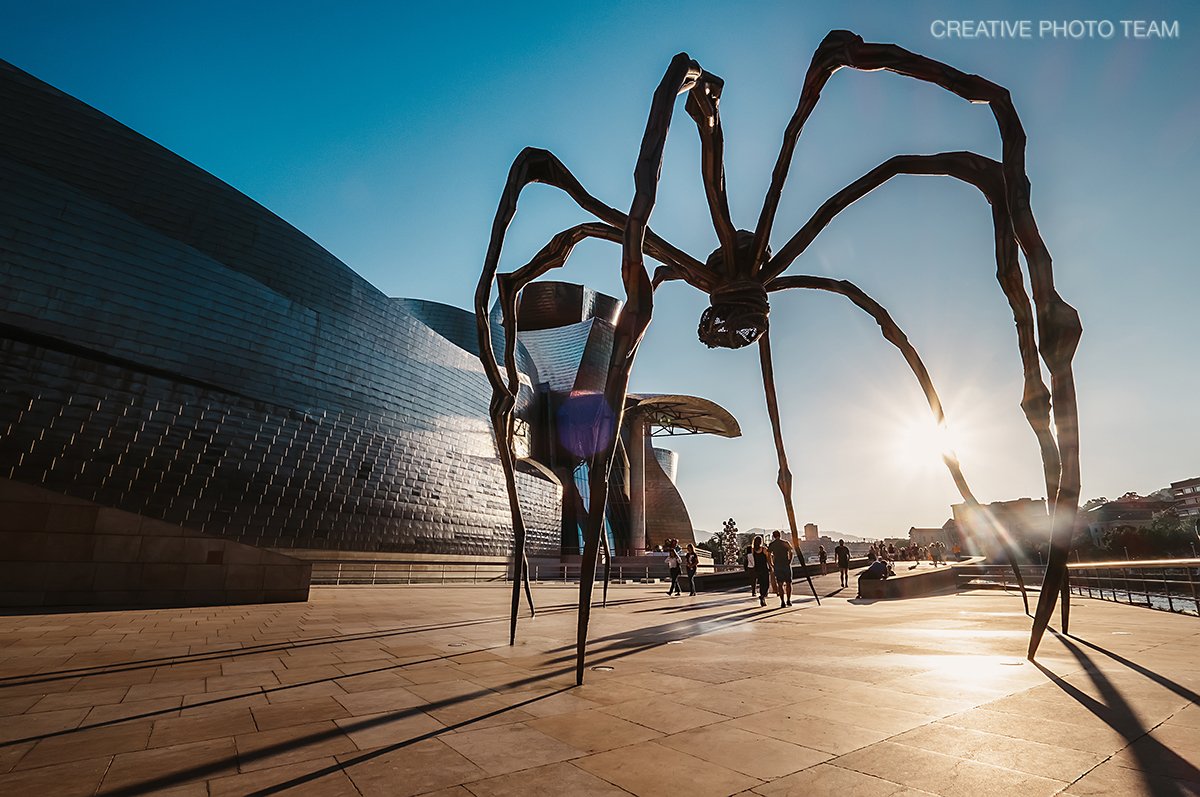 Nice Spider