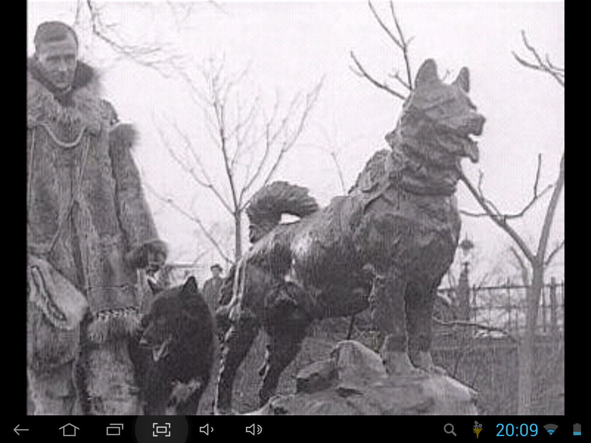 Статуя 1925 Балто