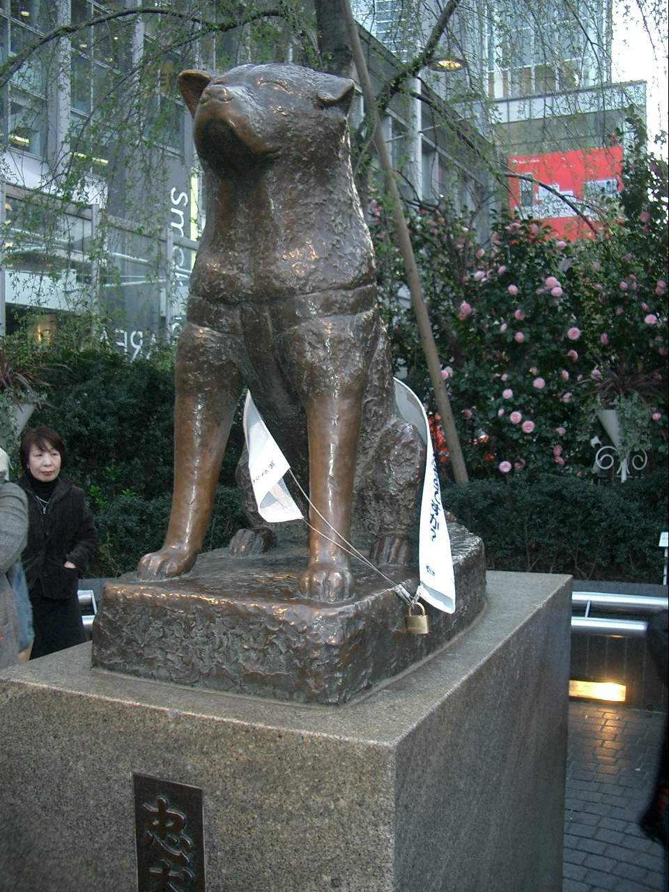 Памятник Хатико в Токио