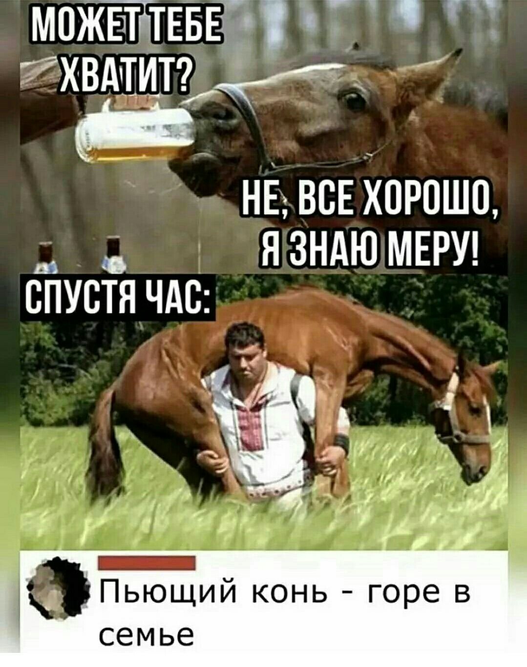 Пьющий конь горе в семье