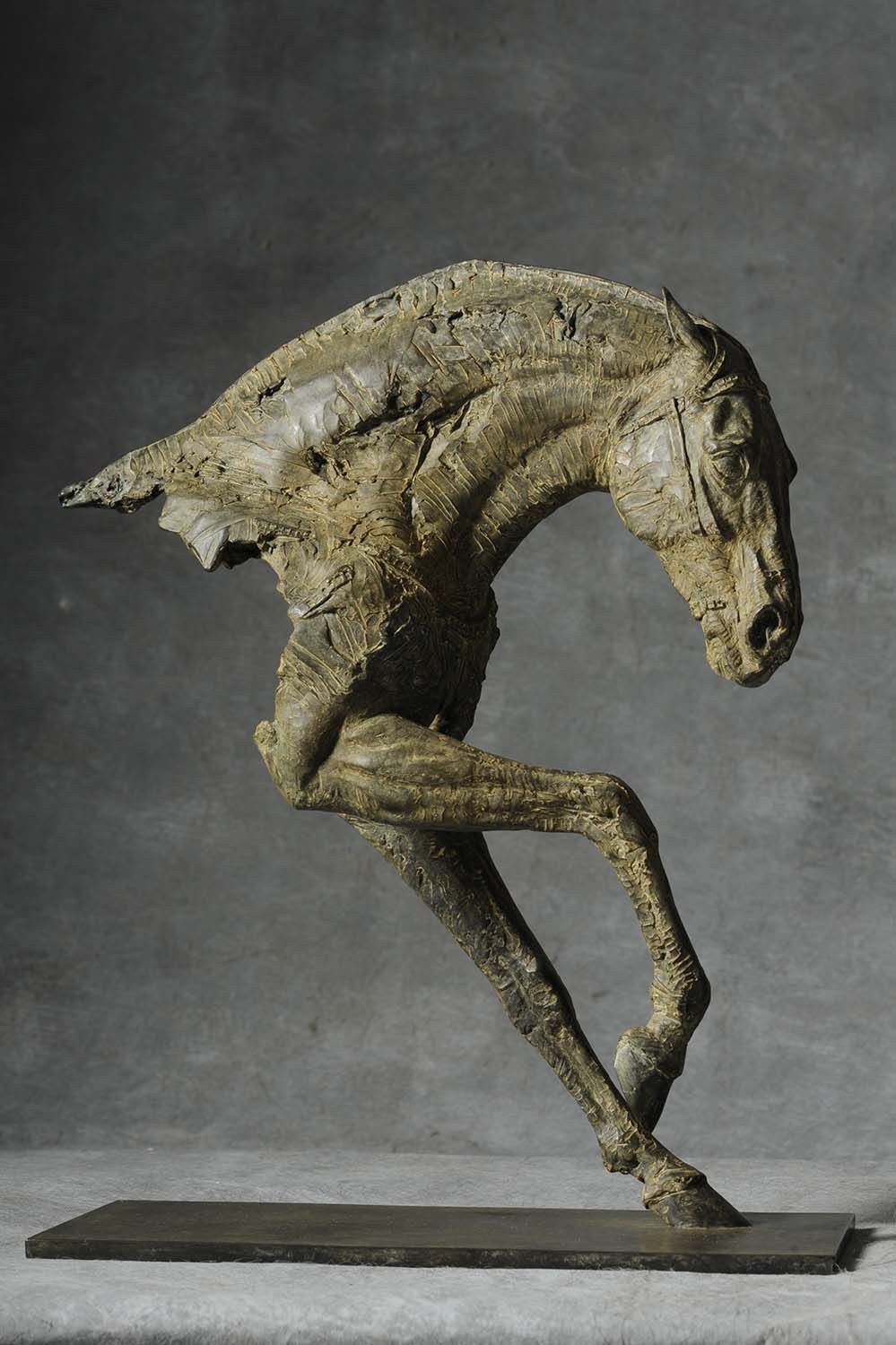 Sculpting Horse